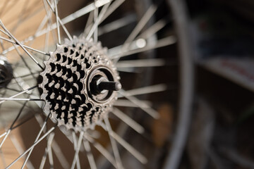 Bicycle gear ratchet