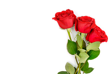 Bouquet of red roses isolated on white . Place for your text.