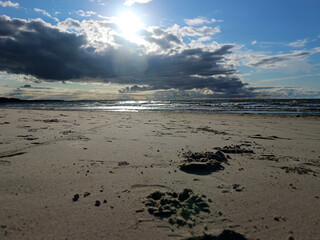 The Baltic Sea coast in Estonia