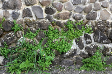 High wall made of stone and concrete.