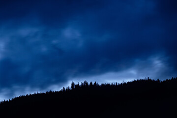 forests in Norway in the night, blue sky