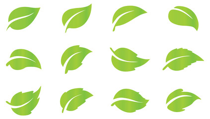Green leaf icon set. Green leaf vector icons. Spring leaves ecology symbols.