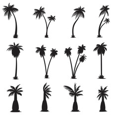 Palm tree silhouette elements set vector illustration