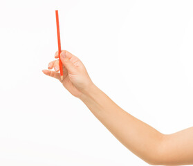 female hands holding orange pencil on white background isolated