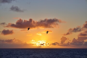 Fototapeta na wymiar Sonnenaufgang auf See