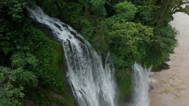 4k Aerial shot for amazon river and the rain forest in brazil rainforest. shot on MAVIC 2 PRO hasselblad rendered prores 422HQ REC709