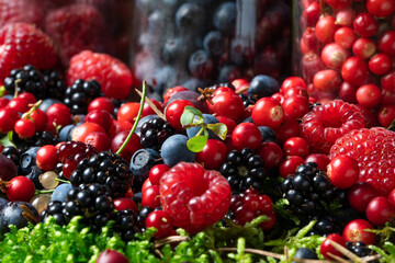Assorted berries fresh mix colorful arrangement in forest.