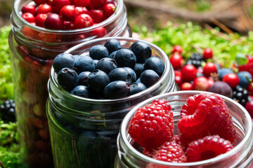 Assorted berries fresh mix colorful arrangement in forest.