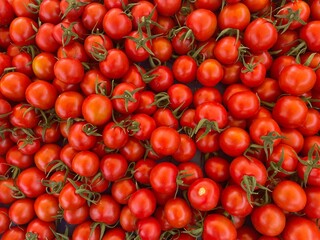 Tomatoes