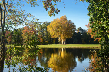 Landschaft 959
