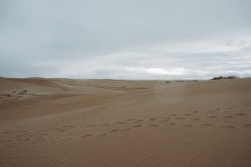 sand dunes on the beach
