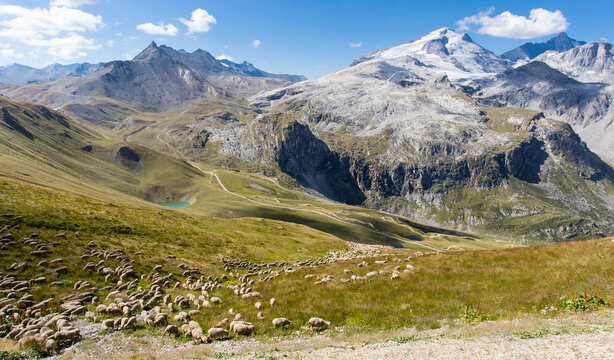 Randonnée entre la tovière et le col de Fresse sur un sentier aérien avec vue sur la Grande Motte qui est un sommet du massif de la Vanoise situé à l'extrémité de la vallée de Tignes, en Savoie. 