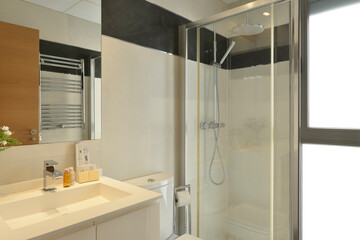Washroom with simple decoration with clear lines, white resin sink, frameless mirror and glass door shower stall