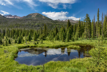 Fototapeta na wymiar Beaver Pond in the Rocky Mountain National Park in Colorado