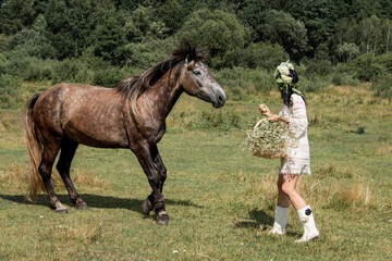 A girl in a wreath of flowers on her head feeds apples to a horse