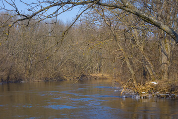 small river flow in forest natural landscape