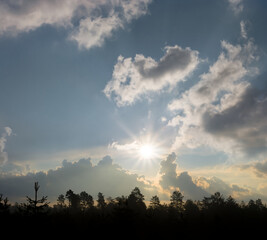 forest silhouette under dense cloudy sky in light of sparkle sun