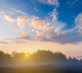 forest glade in mist at the sunset, beautiful natural sunset background