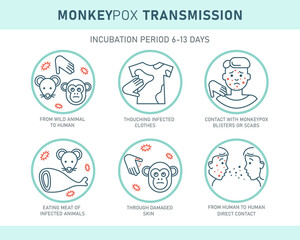 Monkeypox virus transmission infographics with icons isolated on white background. Vector flat illustration for medical concept. Design for banner, poster, flyer.