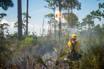 Florida burn boss firing a flare to ignite inaccessible areas during a prescribed burn