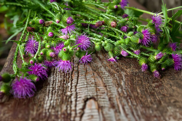 Burdock flowers. Bouquet of wild flowers on a wooden surface. Close-up of a purple flower. Selective focus. Floral wallpaper. Blurred background
