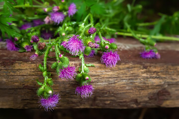 Burdock flowers. Bouquet of wild flowers plucked on a wooden surface. Medicinal homeopathic plants. Close-up of a purple flower. Selective focus. Floral wallpaper. Blurred background