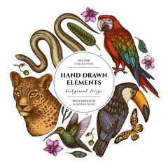 Fototapeta premium Tropical animals circle design. Hand drawn leopard, snake, hummingbird, toucan, scarlet macaw, african giant swallowtail, strelitzia, orchid, phalaenopsis.