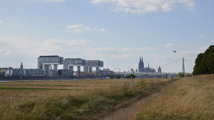 Fototapeta na wymiar View on panorama of Cologne City from a meadow at the other side of rhine river at low tide