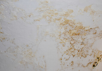 Old cement wall texture