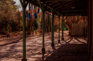 rail station in autumn 