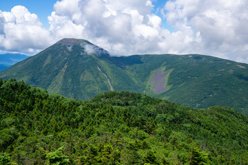 Fototapeta premium 夏の八ヶ岳 北横岳から蓼科山をのぞむ