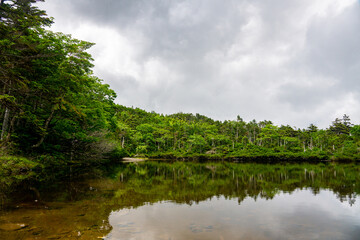 Fototapeta na wymiar 北横岳 七つ池