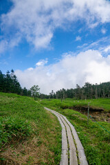 雨池峠への登山道（八ヶ岳）