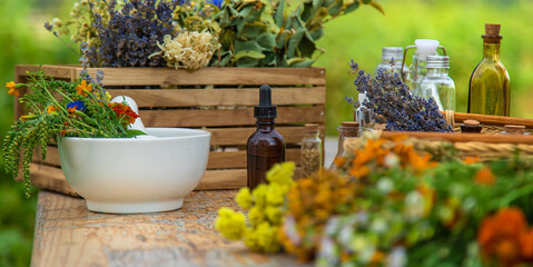 Medicinal herbs and natural tinctures. Selective focus.