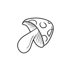 Fly agaric amanita sketch illustration isolated on white background. HAnd drawn vector drawing made in dooodle simple line art. Engraved, vintage art of autumn element, nature, mushroom