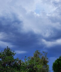 Obraz premium clouds over the forest