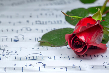 Musical notes and red rose