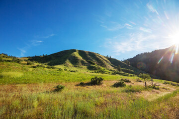 Fototapeta premium Green hills