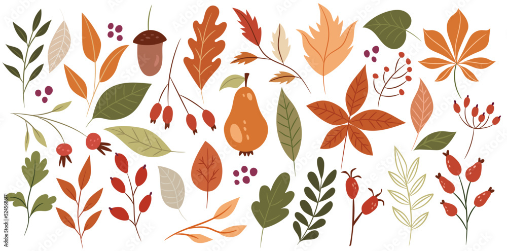 Wall mural A set of autumn plants on a separate white background