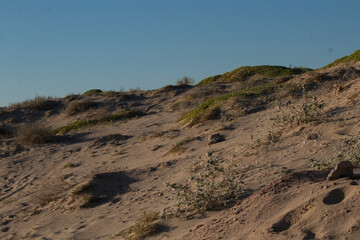 Sunset in a Desert Landscape