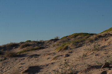 Sunset in a Desert Landscape