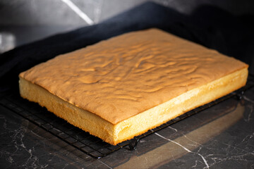 Fresh baked golden undecorated one-quarter size sponge cake slab