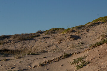 Sunset in a Desert Landscape