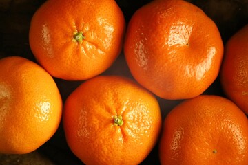 Isolated close-up of Mandarin oranges (Citrus reticulata)