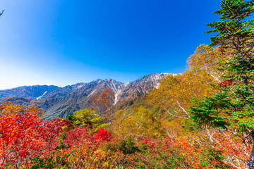 抜けるような青空と紅葉