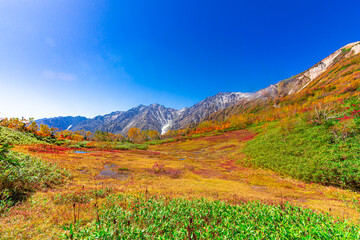 抜けるような青空と紅葉