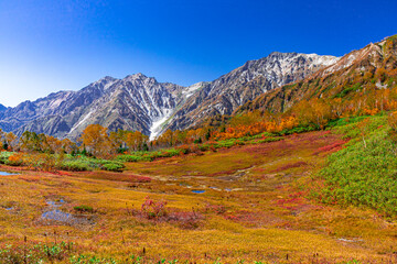 抜けるような青空と紅葉