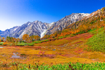 抜けるような青空と紅葉