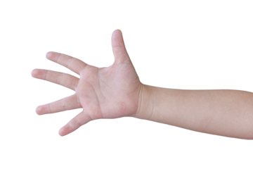 Child hand gesture Isolated on transparent background - PNG format.