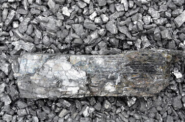 A large and long piece of anthracite coal lies on fine coal.